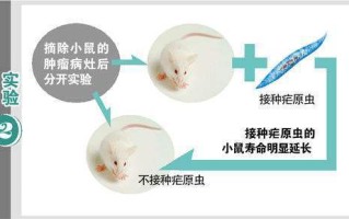 疟原虫，对抗癌症的不寻常盟友——揭秘生物疗法的新篇章