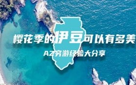 揭秘海洋守护者，MSC公司的创新之旅与深远影响