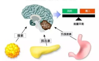 年轻生命的警示，一次没食欲，竟是全胃肿瘤