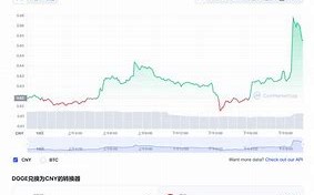 投资狗狗币的正方观点