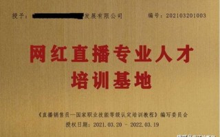 网红之路的警示，流量背后的责任与自省