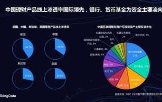 引领未来金融革命，探讨印度比特币大会的深度解析与洞察