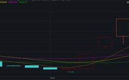 吴忌寒对界面新闻记者表示