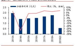 揭秘新疆棉花股票，投资机遇与深度解析