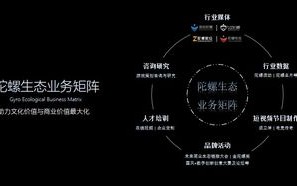 揭秘陀螺世界，区块链游戏骗局的深度剖析与风险警示