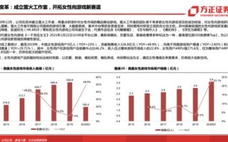 深度解析，肯尼亚大选中的民主进程与挑战——一次非洲选举的独特观察