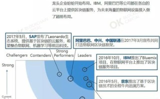 区块链100人