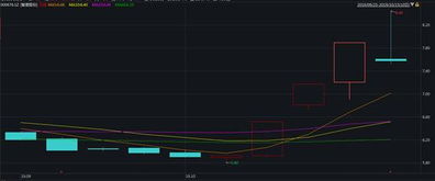 吴忌寒对界面新闻记者表示-第1张图片-链话热议