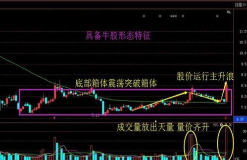 坪山区主导产业-第1张图片-链话热议