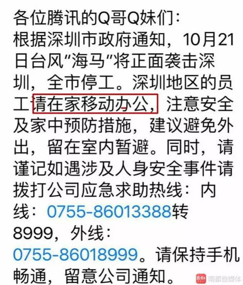 海口公寓楼被台风吹歪事件解析，建筑安全与应对策略-第3张图片-链话热议