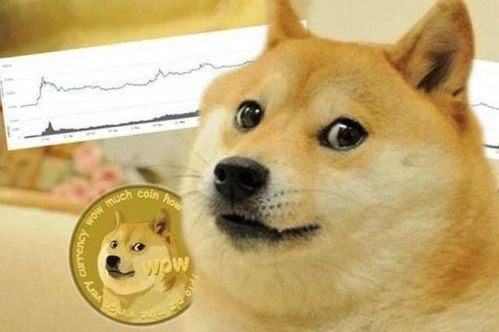 深入解析，探索狗狗币（Dogecoin）今日价格波动背后的区块链力量-第1张图片-链话热议