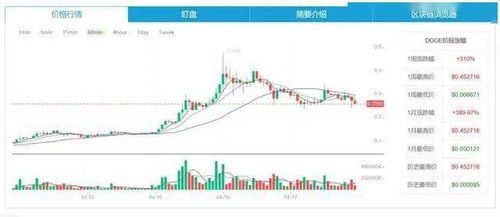 深度解析，狗狗币行情走势与区块链技术的交织魅力-第1张图片-链话热议