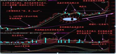 区块链技术视角下的七情六欲，生肖与数字世界的交织-第1张图片-链话热议