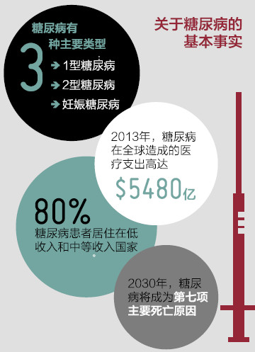 揭露富迪健康科技，区块链应用的虚实与传销风险深度剖析-第2张图片-链话热议