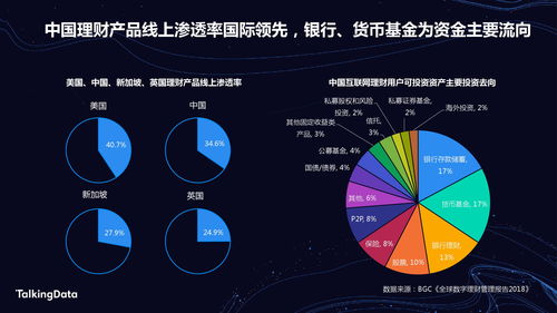 引领未来金融革命，探讨印度比特币大会的深度解析与洞察-第1张图片-链话热议