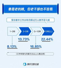 揭秘网站开发，月薪与技能的精彩对话-第2张图片-链话热议