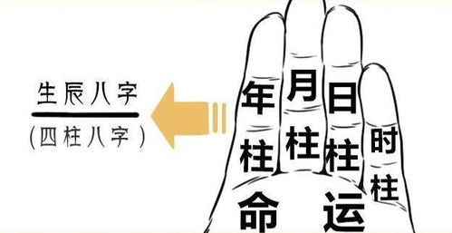 解读暗无天日，寻找那个藏在生肖中的神秘智慧-第2张图片-链话热议