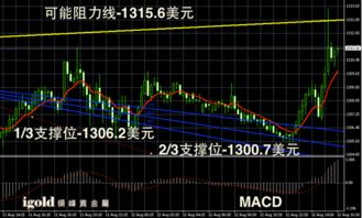 揭秘领峰贵金属，打造您的安全高效黄金交易新时代-第3张图片-链话热议