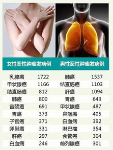 全面解读，深圳入职体检，你的健康通关指南-第1张图片-链话热议