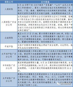 区块链技术赋能农业保险，应对山竹灾害中的经济损失新策略-第3张图片-链话热议