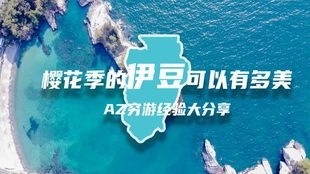 揭秘海洋守护者，MSC公司的创新之旅与深远影响-第1张图片-链话热议