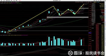 探索海洋财富的蓝筹舵手——海立美达股票的魅力与未来展望-第1张图片-链话热议