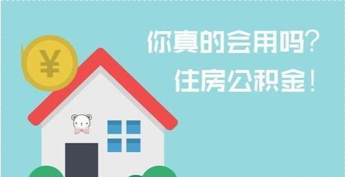 揭秘伊春公积金宝典，你的住房小金库指南-第2张图片-链话热议