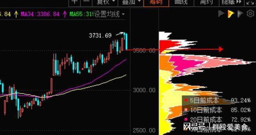 比特大陆裁员风暴，区块链行业的深度剖析与未来展望-第2张图片-链话热议