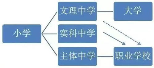 揭秘外汇世界的双轨制，理解与应对策略-第1张图片-链话热议